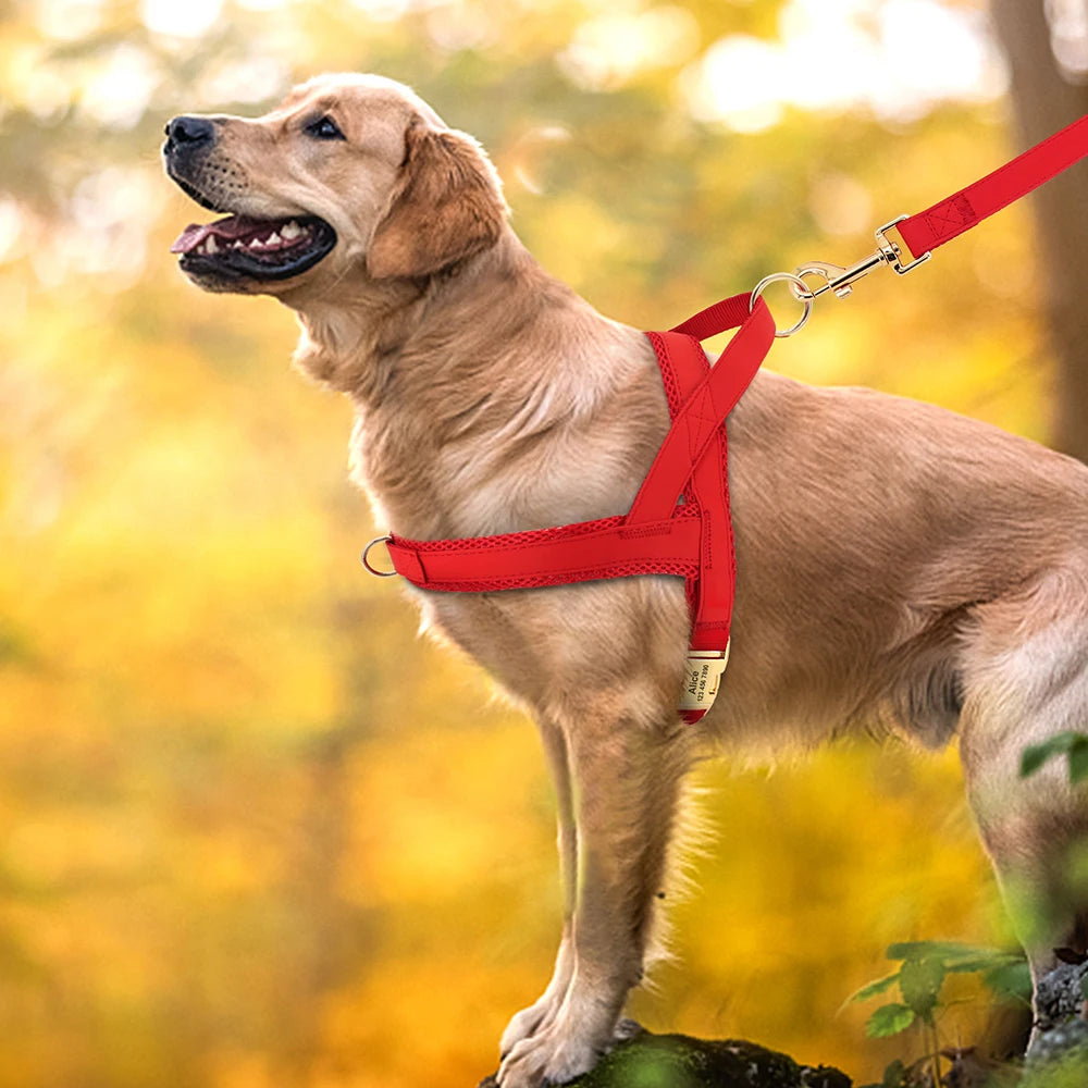 Personalized Dog Harness Training Vest