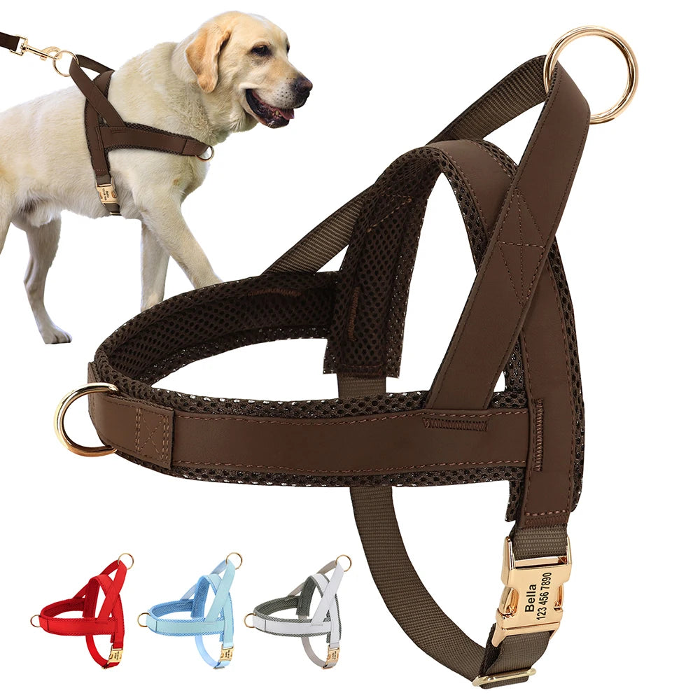 Personalized Dog Harness Training Vest