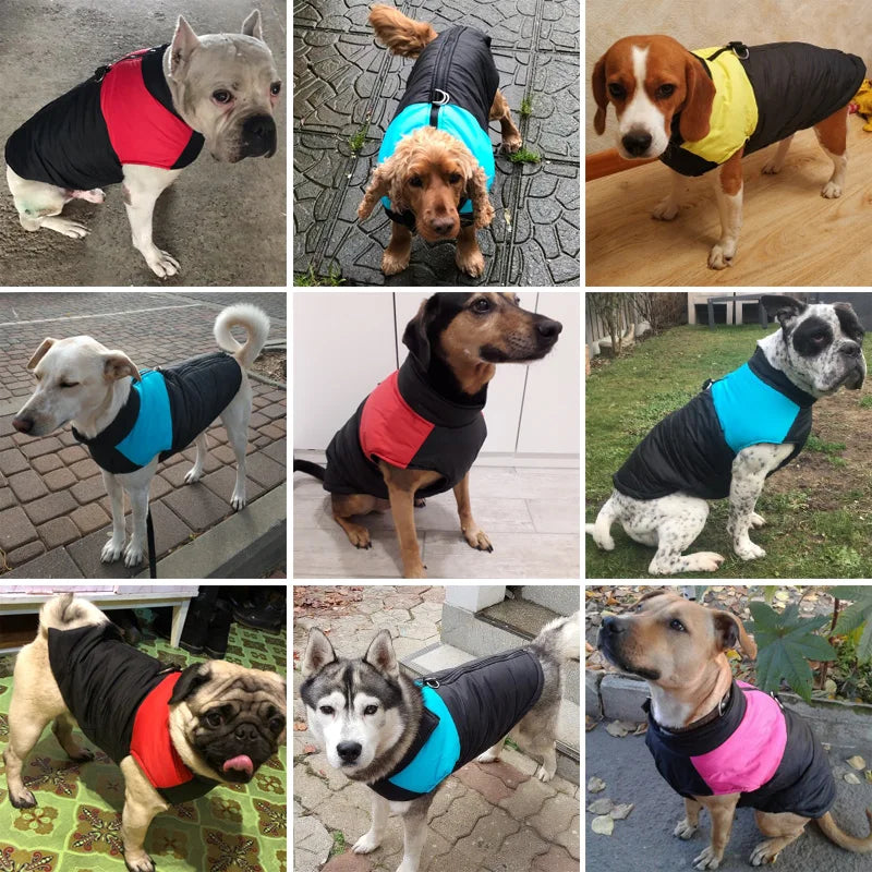 Winter Warm Dog Waterproof Vest